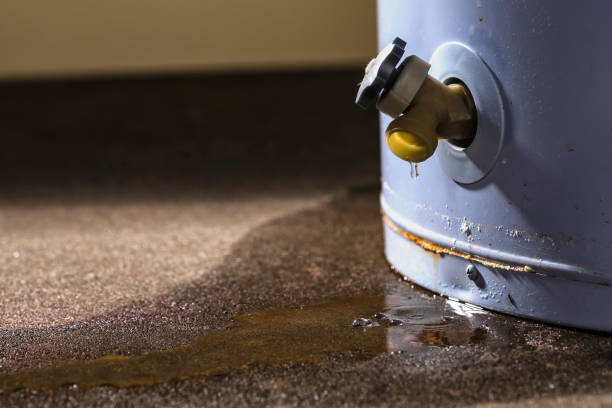 Best Water damage mitigation services  in Orange Blossom, CA