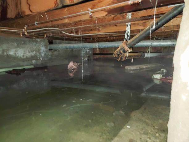 Best 24/7 water damage repair  in Orange Blossom, CA