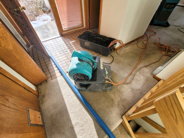 Best Fire Damage Restoration  in Orange Blossom, CA