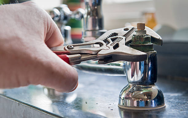 Best Mold removal after water damage  in Orange Blossom, CA