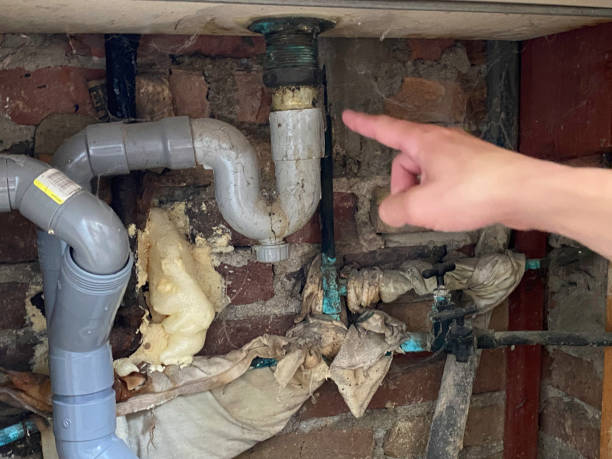 Best Flood damage cleanup  in Orange Blossom, CA