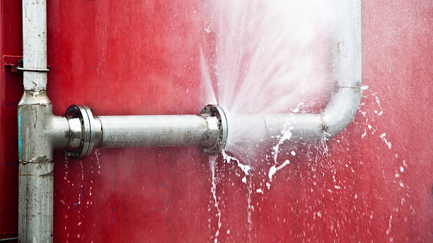 Trusted Orange Blossom, CA Water damage restoration Experts